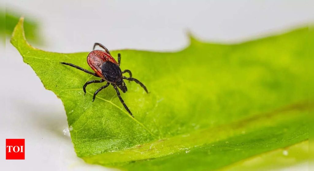 1721707821 Photo.jpg