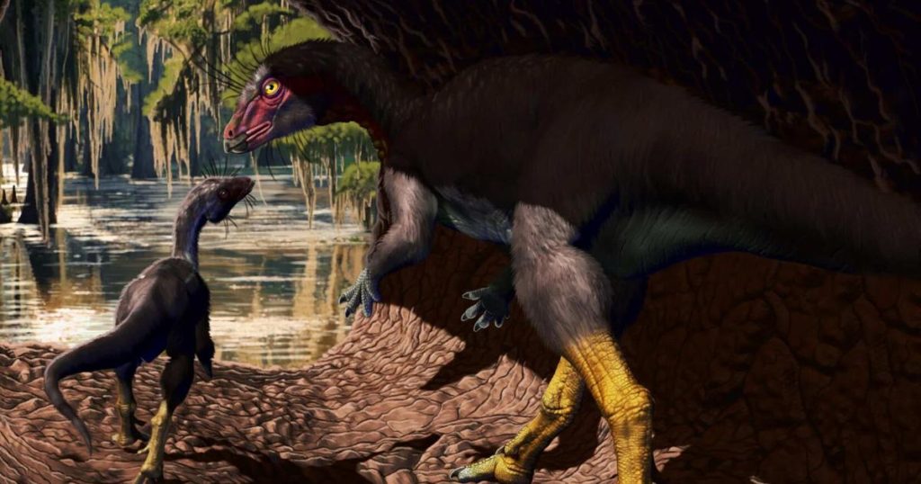 668e7ef9bddef.image .jpg