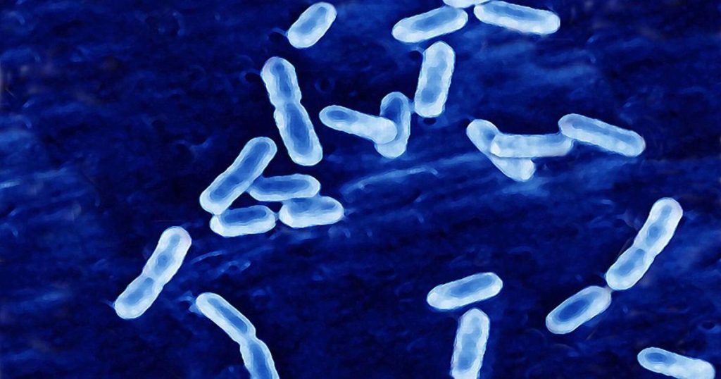 Two dead in multistate listeria outbreak linked with sliced deli meat, CDC says | Regional/National Headlines 669d1d4b6ff1a.preview.jpg