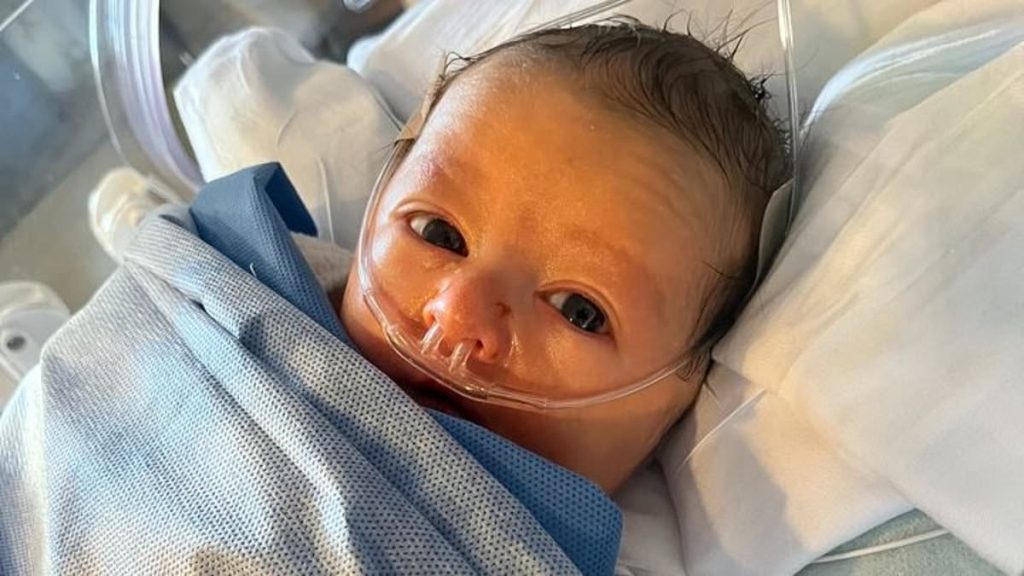 87269431 0 Image A 7 1720814279768.jpg