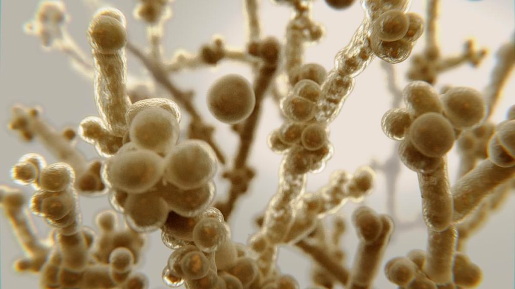 87415517 0 Image A 28 1721161365687.jpg