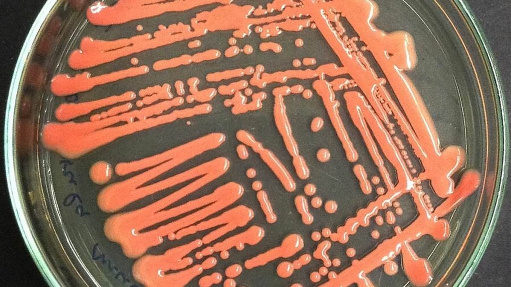 87550591 0 Image A 4 1721418975061.jpg