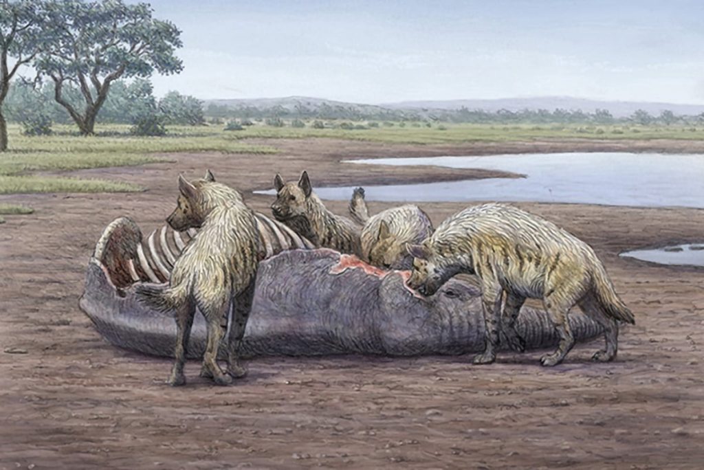 Elephant Graveyard Quicksand.jpg