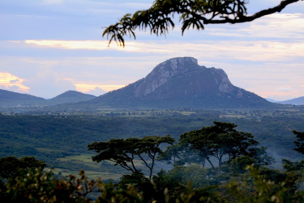 Gimvrlnbyztrsl3novufs4jhrm Size Normalized.jpegw1440.jpeg