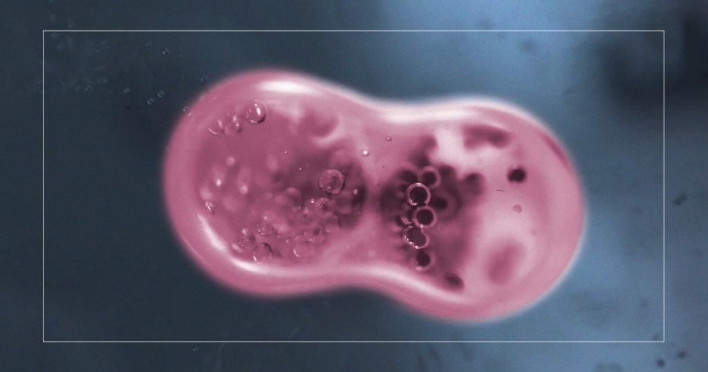 Lee Cronin Bti A1 Web.jpg