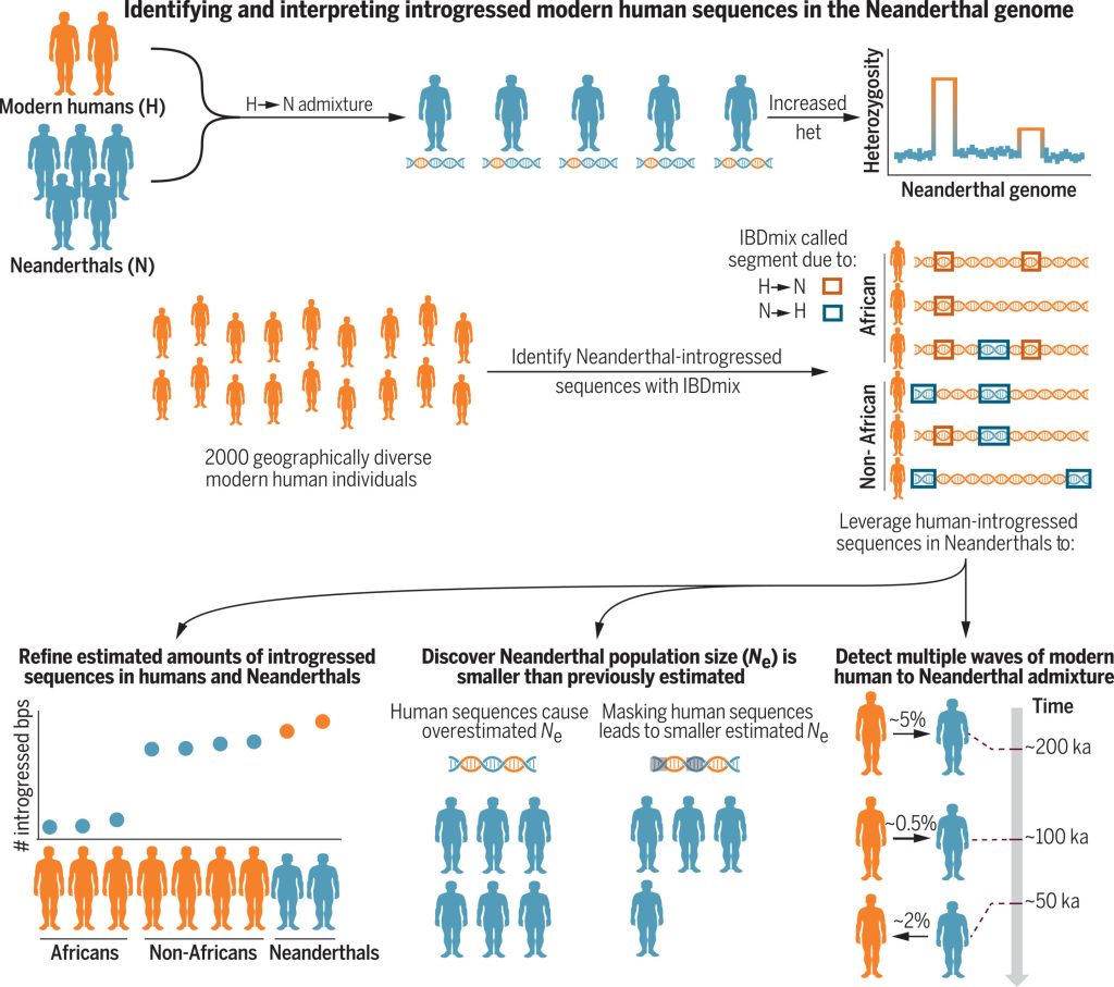 A History Of Contact G.jpg