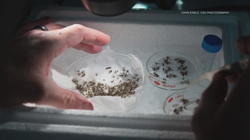 A263d1db Cc41 43fe B6f4 Cc9ed379e0d9 1140x641.jpg