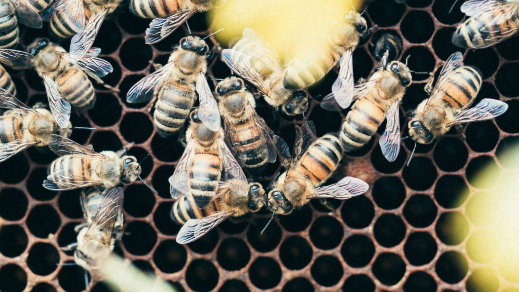 Ante Hamersmit Iqe2vsrc 58 Unsplash Crop.jpg