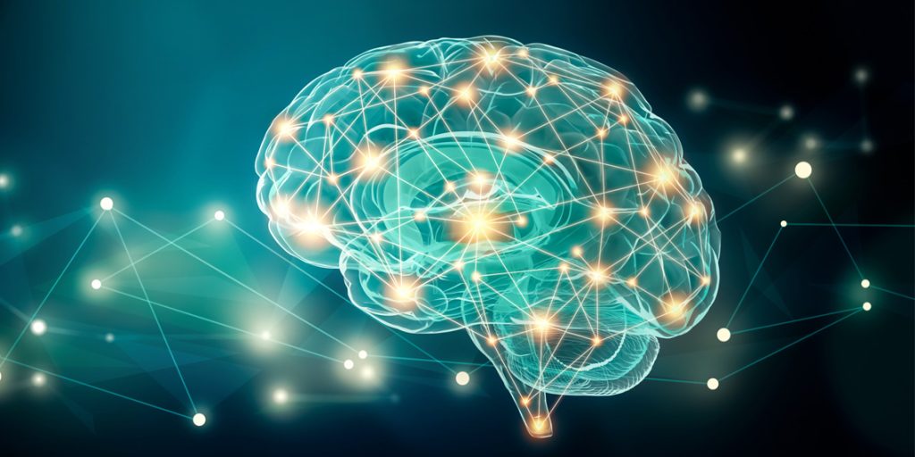 Brain Connections Neural Network Neuroimaging.jpg