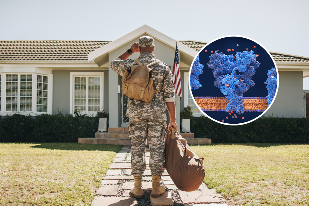 Gulf War Illness.png