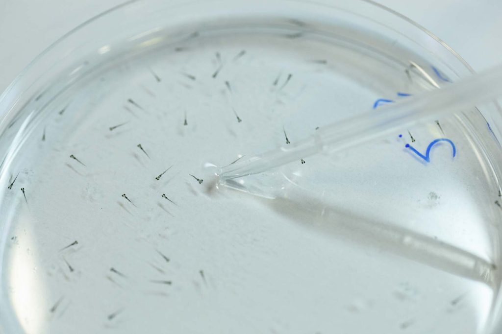 Light Activated Drugs 1.jpg