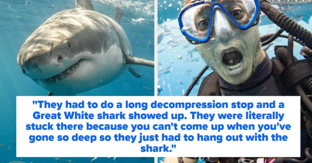 Original 2908 1720643335 2.jpg