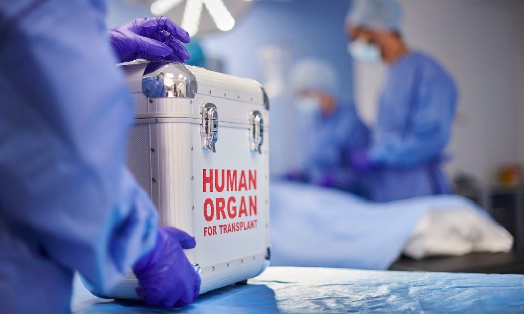 Human Organ For Transplant.jpg