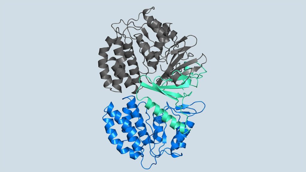 Joshua tor fn3k structure.jpg