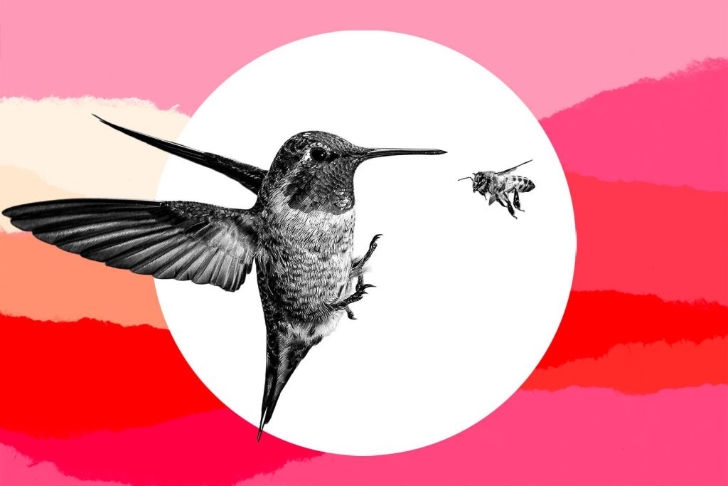 Aa2c955b 8617 4db8 be61 7953969b4e0d.jpeg