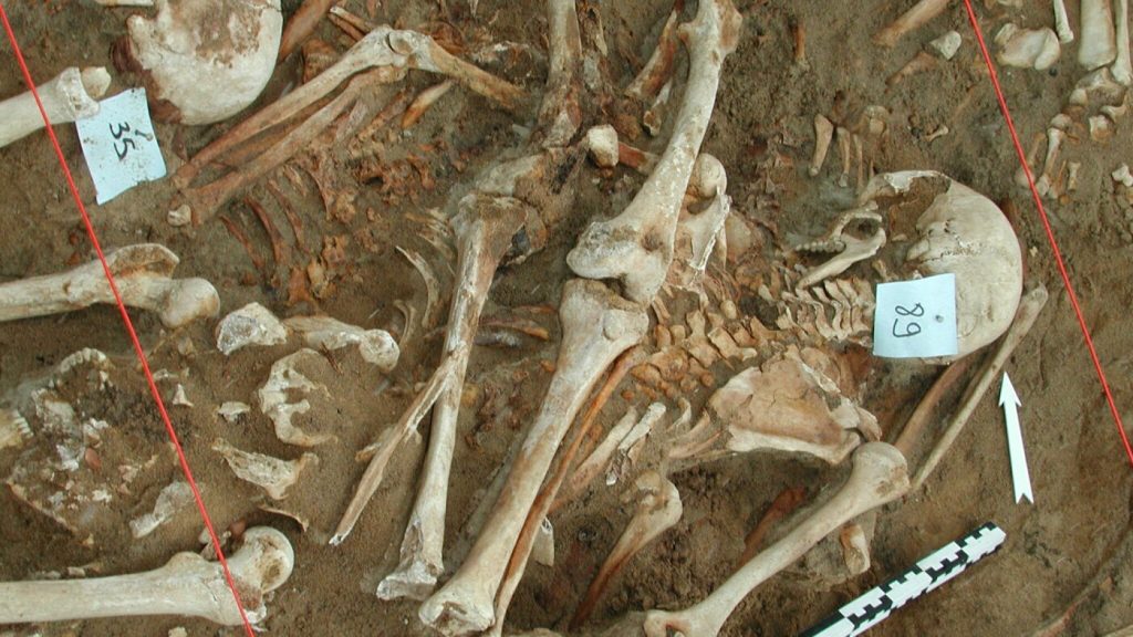 Urlhttp3a2f2fnpr brightspot.s3.amazonaws.com2fb42ffd2fd4174c1d418aa492bba4e2ba20d12f013.jpg