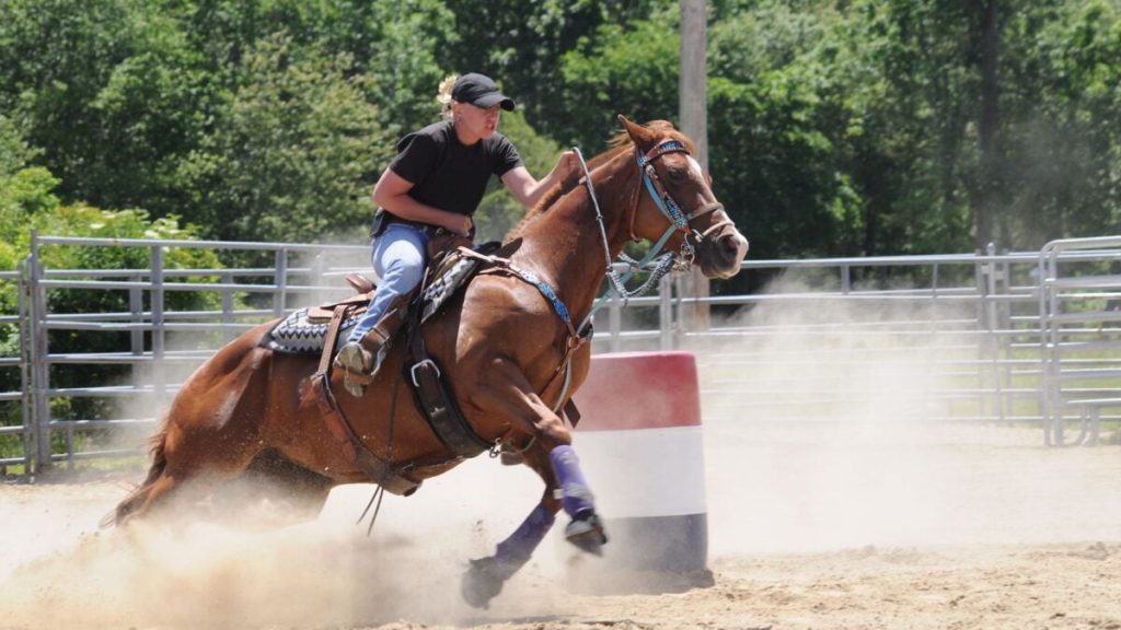 A Nasty Brain Illness Is Spreading Quickly Among Horses in the U.S. Here’s What You Need to Know Barrelracing 1200x675.jpg