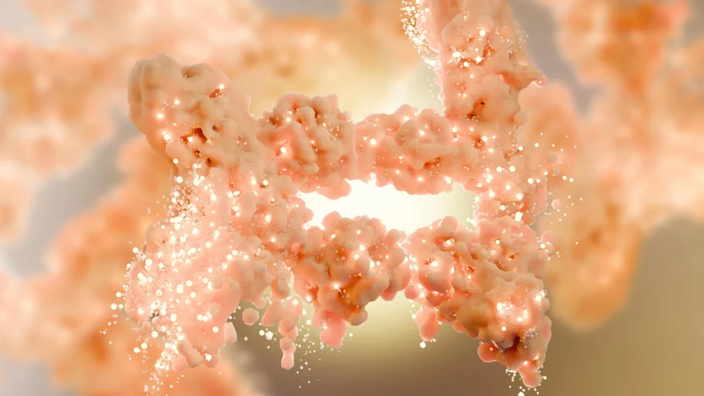 New obesity discovery rewrites decades of fat metabolism science Fat burning human tissue cells.webp.webp