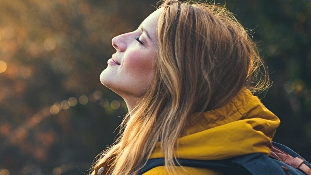 33 senses header.jpg