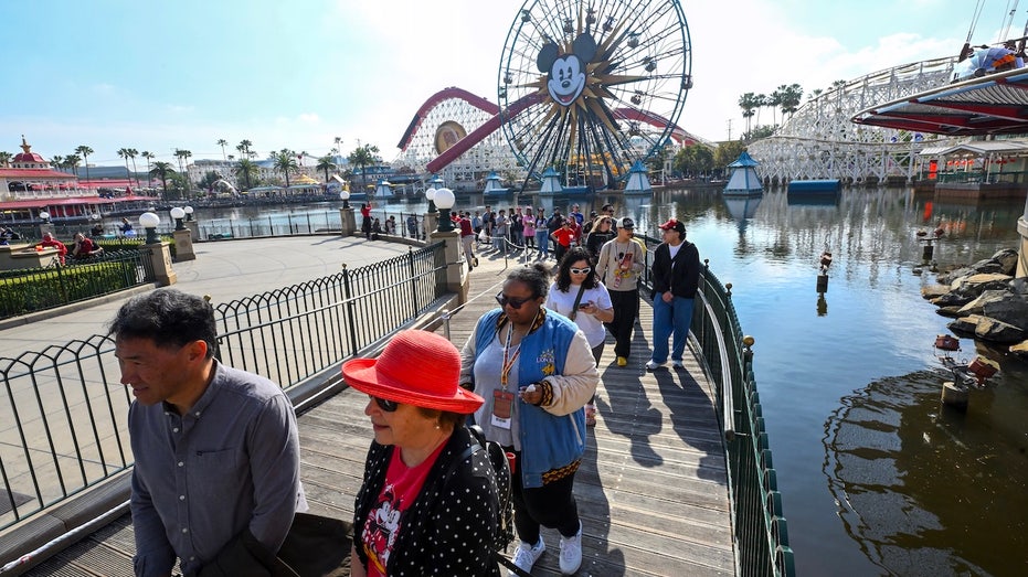 Measles exposure risk identified at major airport and theme park, health officials warn Crowd at disneyland california 1.jpg