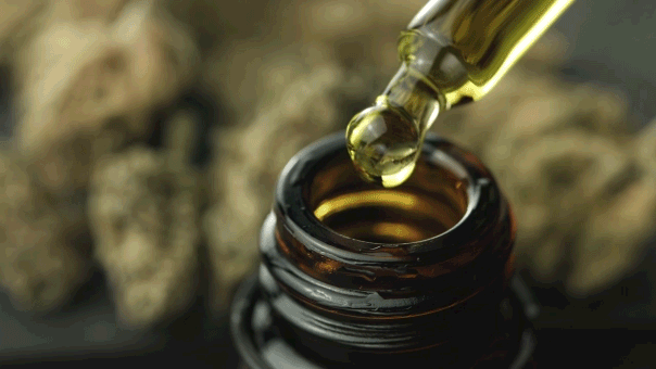 Marijuana compound may help prevent dementia when paired with common drug Thc cannabis drops.gif